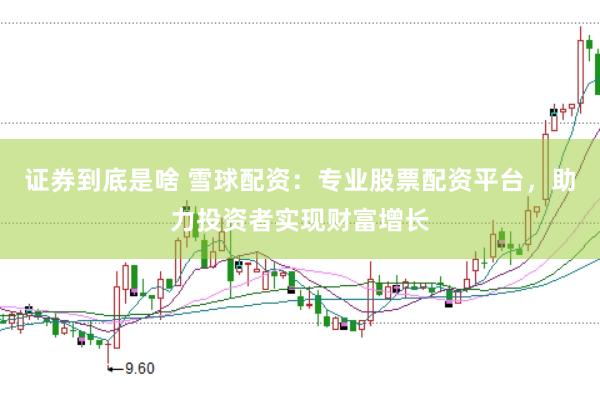 证券到底是啥 雪球配资：专业股票配资平台，助力投资者实现财富增长