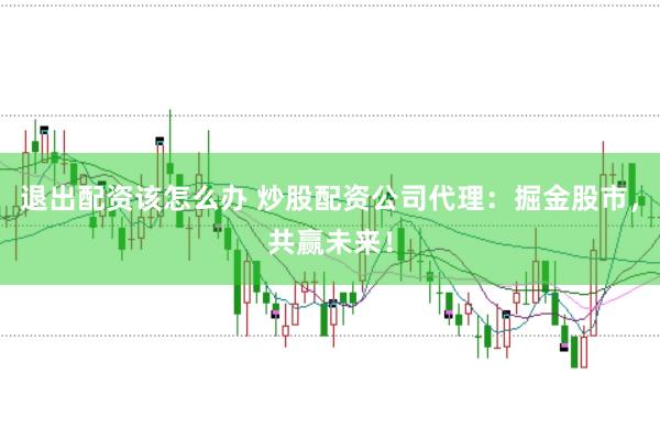 退出配资该怎么办 炒股配资公司代理：掘金股市，共赢未来！