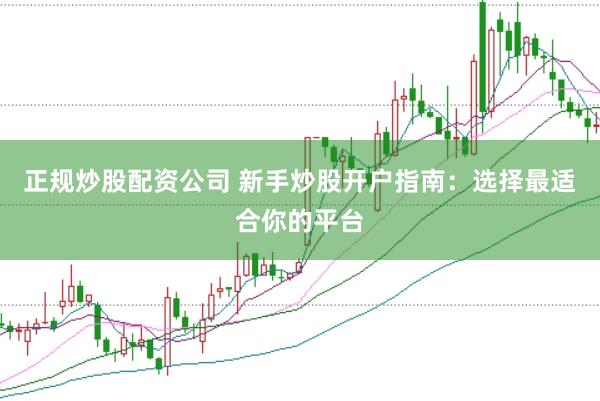 正规炒股配资公司 新手炒股开户指南：选择最适合你的平台