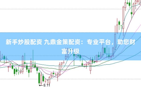 新手炒股配资 九鼎金策配资：专业平台，助您财富升级