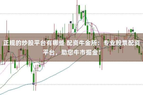 正规的炒股平台有哪些 配资牛金所：专业股票配资平台，助您牛市掘金！