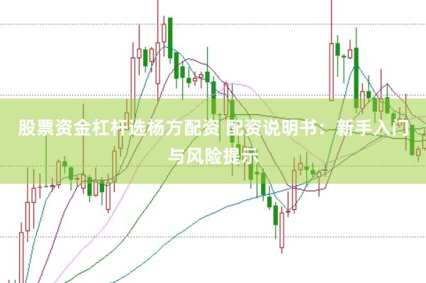 股票资金杠杆选杨方配资 配资说明书：新手入门与风险提示