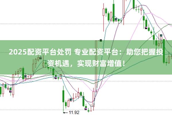 2025配资平台处罚 专业配资平台：助您把握投资机遇，实现财富增值！