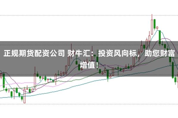 正规期货配资公司 财牛汇：投资风向标，助您财富增值！