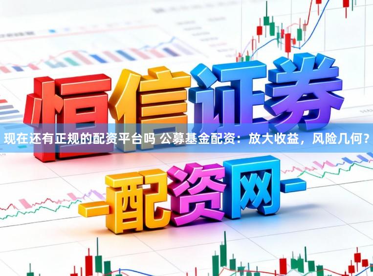 现在还有正规的配资平台吗 公募基金配资：放大收益，风险几何？