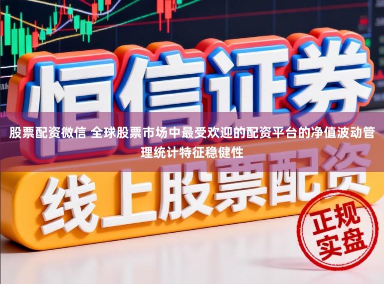 股票配资微信 全球股票市场中最受欢迎的配资平台的净值波动管理统计特征稳健性